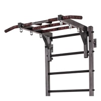 турник рукоход для шведской стенки тдшс-001 apolonsport