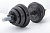 гантель разборная titan 16 кг (гриф 45 см + диски 4х2.5 кг, 2х1.25 кг, 2х1 кг)